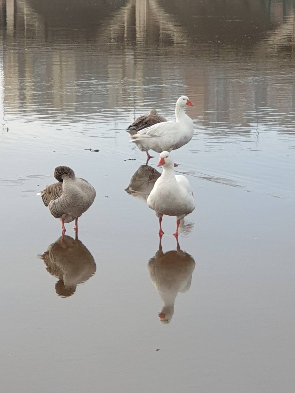Guadiana, el río que nos une