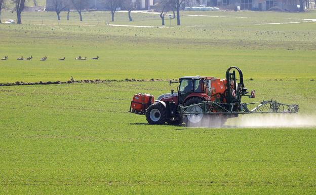 Higuera organiza un curso de plaguicida agrícola básico