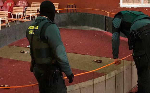 La Fiscalía pide más de 17 años de prisión por una pelea de gallos en Montijo