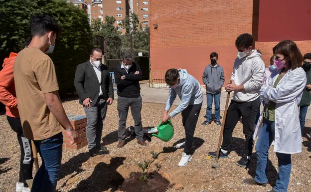 Jesús Coslado, Isidro Palacios y Mailo Corrales acompañan a los alumnos que plantan la encina./c. moreno