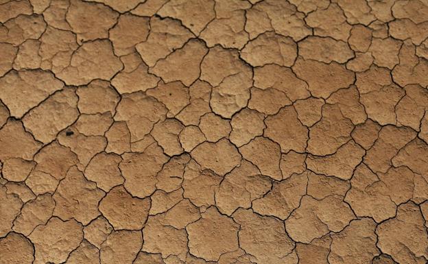 La pérdida de cultivos se triplica en Europa en los últimos cincuenta años