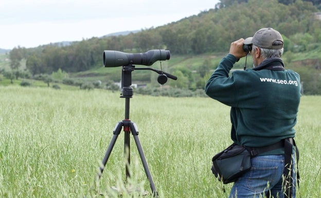 Un salvavidas para las aves agroesteparias de Extremadura