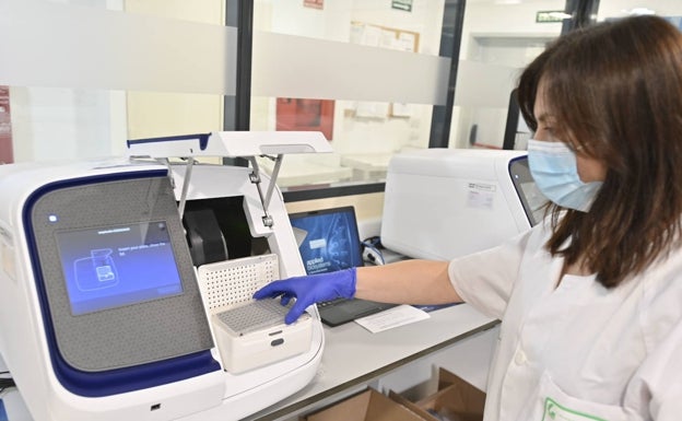 Los 12 casos analizados del brote de los esquiladores son de variante brasileña