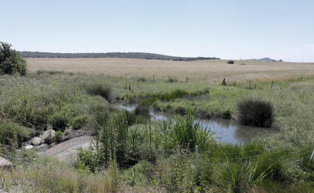 Un vertido incontrolado provoca que la depuradora de Cáceres supere los límites legales
