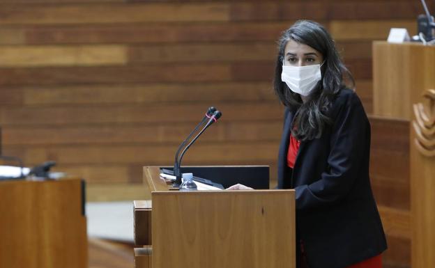 Irene de Miguel pide que los fondos europeos no acaben en las manos de grandes empresas