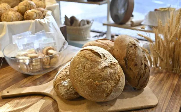 En PanContigo tienen 13 variedades de panes elaborados con masa madre.