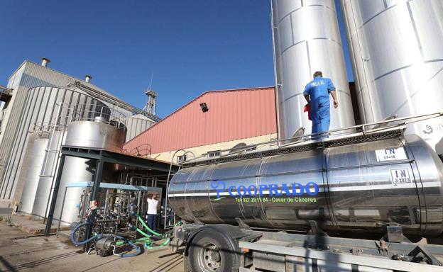 Cooprado cumple 50 años: «Ahora toca ser más verdes y más sostenibles»