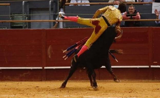 El novillero Manuel Perera, herido grave tras recibir una cornada en Vistalegre