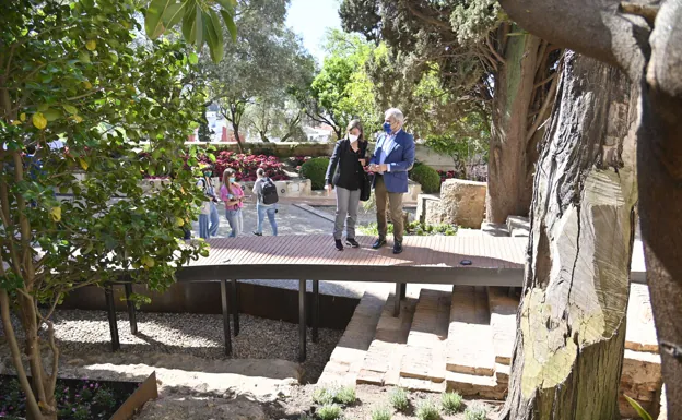 El Ayuntamiento de Badajoz niega que se vayan a talar los cipreses de los jardines de La Galera