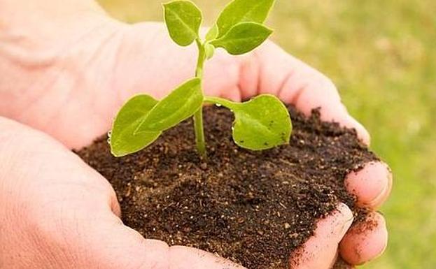 Una puerta para las modernas técnicas genómicas