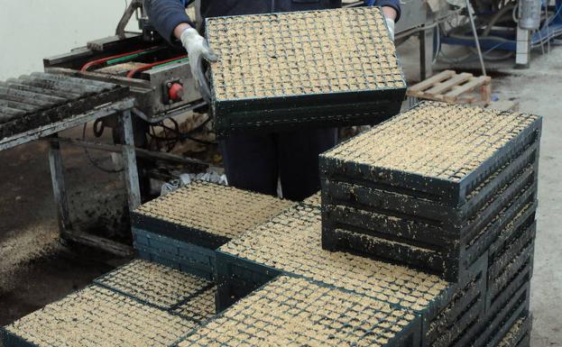 Aumenta el reciclado de envases agrarios