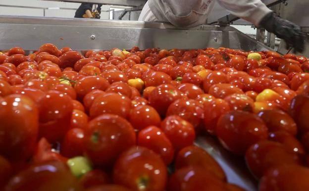 El Ministerio confirma que no revisará el acuerdo con Marruecos ante la indignación del sector