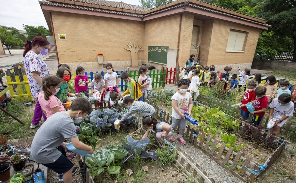 A casa con las hortalizas del huerto escolar