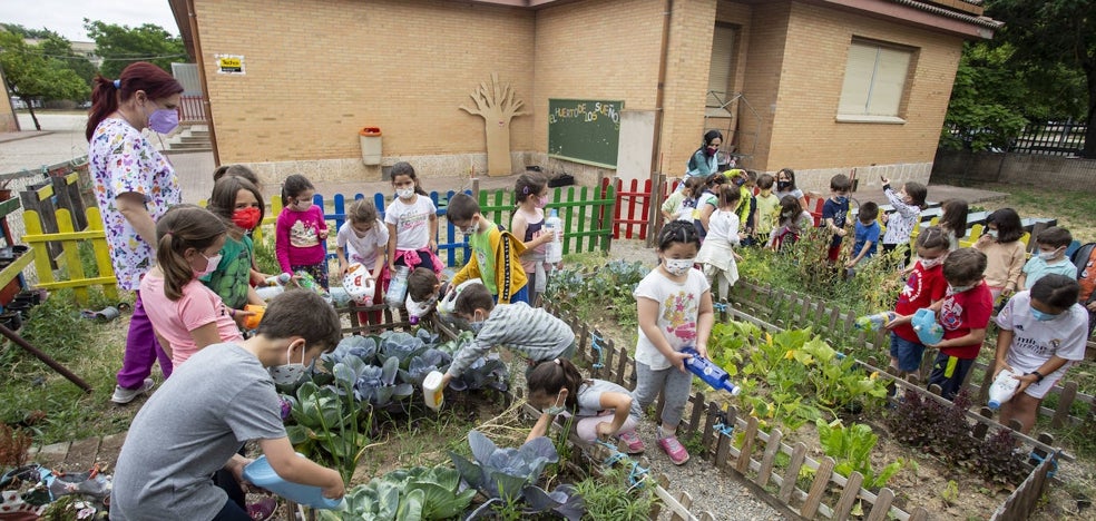A casa con las hortalizas del huerto escolar - Vimarsana News