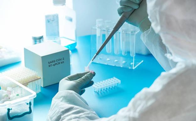 Plasencia, Badajoz y Mérida, en riesgo medio por la incidencia acumulada