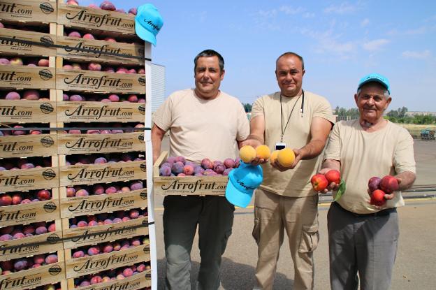 «Crear un sello propio aporta un valor añadido a nuestra fruta»