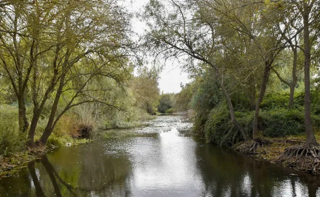 Una de las zonas donde había merenderos en el río Gévora. /HOY