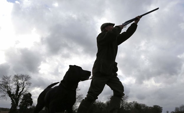 Cáceres es la segunda provincia de España con más armas de caza por habitante