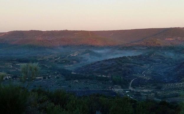 El incendio de Peraleda de San Román calcina 500 hectáreas de superficie agrícola, pasto, matorral y eucaliptos