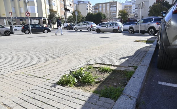 Badajoz contratará a 127 peones y 23 oficiales de albañilería para el Aepsa