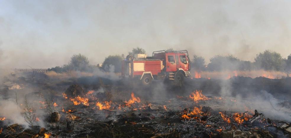 Los bomberos de Mérida han apagado ya más de 140 incendios de pastos este verano - Vimarsana News
