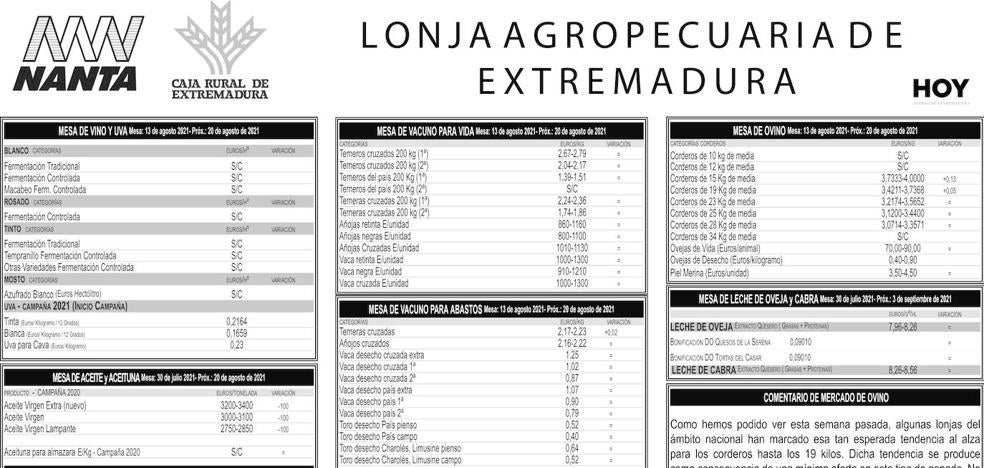 Lonja agropecuaria del jueves 26 de agosto - Vimarsana News