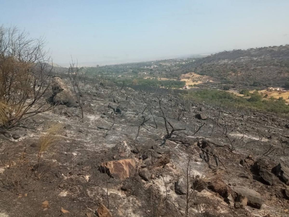 Imágenes del incendio originado este miércoles cerca de Alburquerque