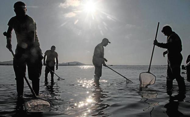 Ajedrez mortal en el Mar Menor