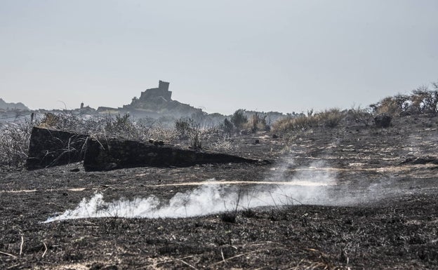 La región pide que la zona quemada por el fuego de Alburquerque se declare catastrófica