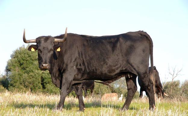 El Banco Nacional de Germoplasma Animal refuerza su papel en el sector ganadero