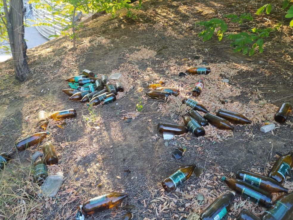 Cascos de botellas de cerveza tirados en las proximidades del Palacio de Congresos. / HOY