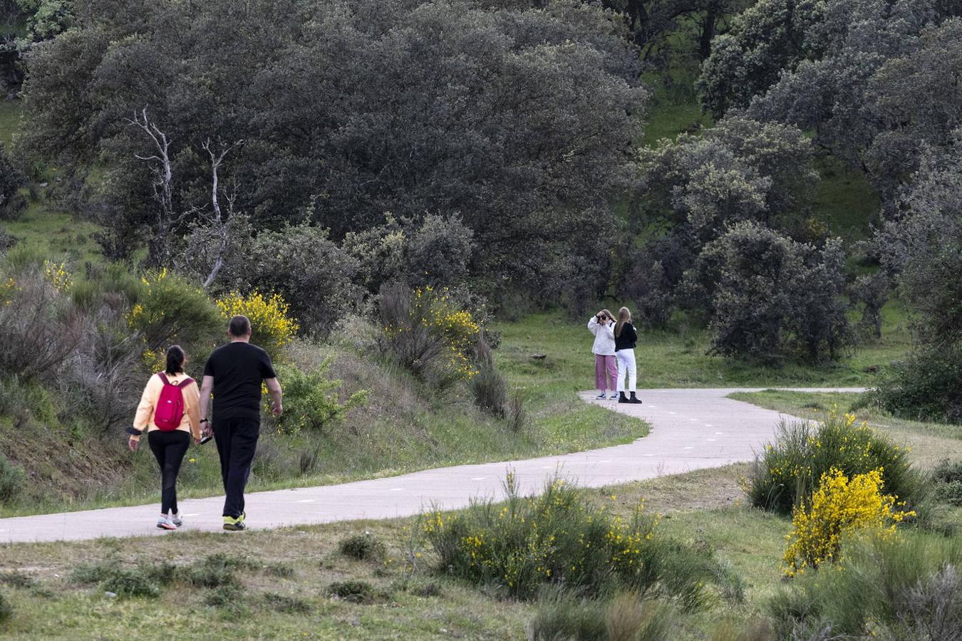 Un carril bici rodeado de atractivos