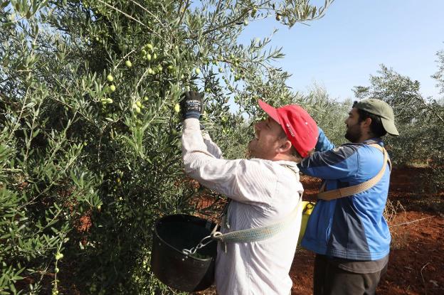 Pendientes del cielo