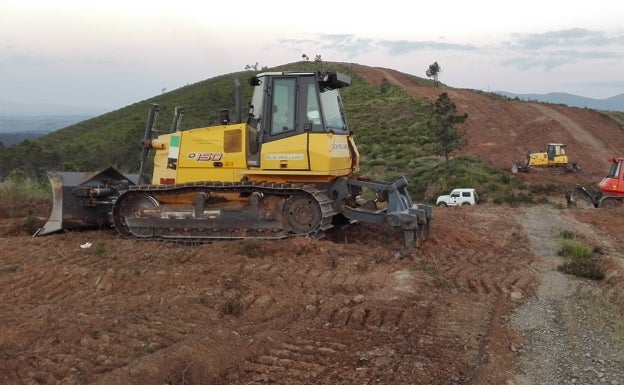 Guerra al combustible vegetal