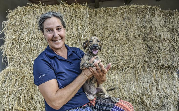 Animalista / taurino