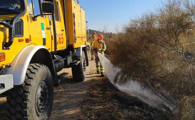 El Infoex interviene en 32 incendios en la región en la última semana