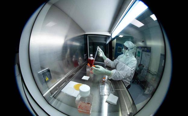 La incidencia acumulada cae casi diez puntos más a los 14 días