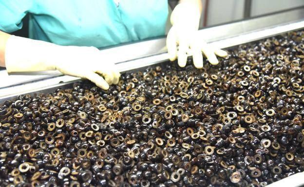 Marruecos ya supera a España en las exportaciones de aceituna negra a EEUU