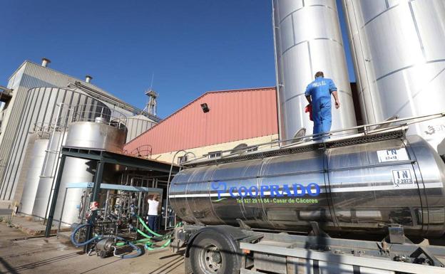 La cooperativa Cooprado cierra dos fusiones y se acerca a los 50 millones de facturación