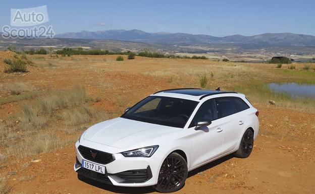 Cupra León ST 310: ¿referente también en formato familiar?