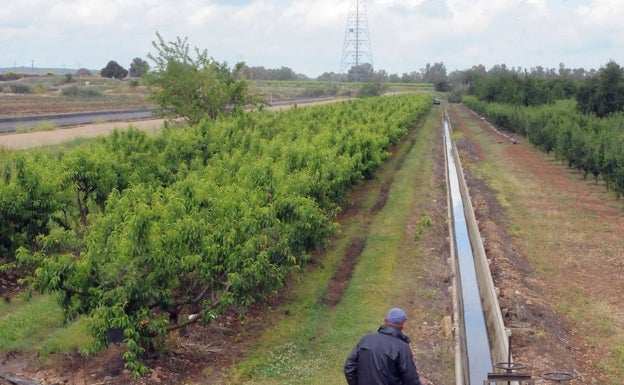 Fuerzas del orden echan a 300 personas de cuatro asentamientos entre Lobón y Talavera La Real