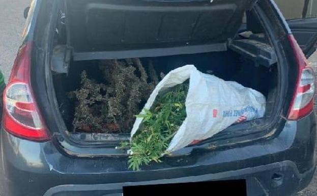 Ante el juez por circular en Talavera con marihuana en el coche y sin puntos en el carné