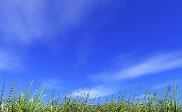 Cielos despejados durante toda la semana y recuperación de las temperaturas hasta el jueves