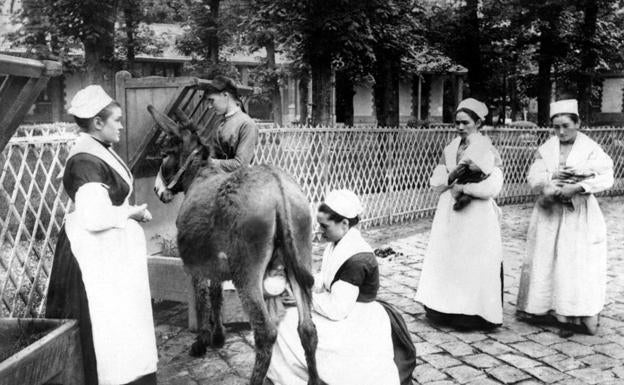 La milagrosa leche de burra, alimento y medicina