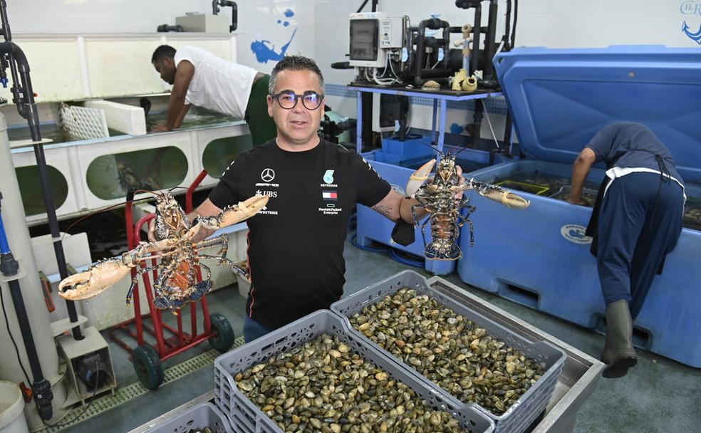 Guía para comer langostinos y sapateiras en la Raya