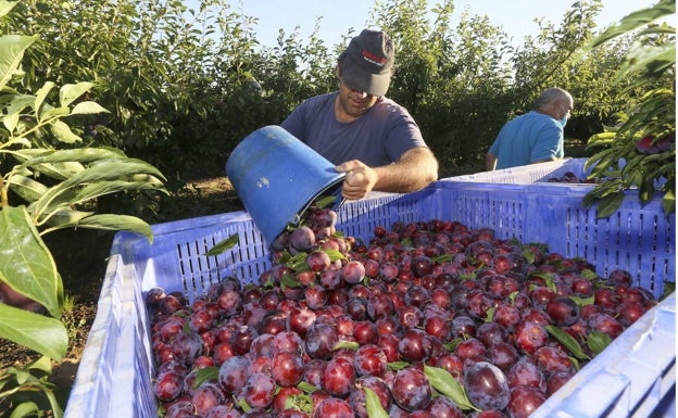 168.000 trabajadores extremeños están afectados por convenios colectivos ya caducados