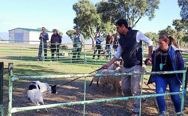 Moraleja imparte un curso para adiestrar a perros en el cuidado del ganado