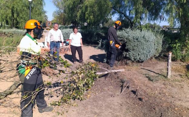 Los alumnos del curso de jardinería remodelan el parque de La Laguna
