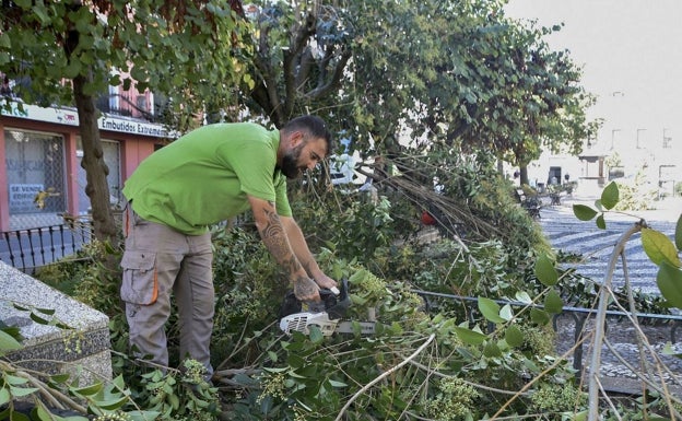 La obra de ajardinamiento de San Andrés se retomará en diez días