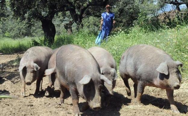Menos porcino y menos vino